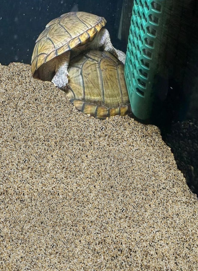 FANTIAN رمل أحواض السمك من فانتيان، وزن 5 أرطال، حجم حبيبات 0.6-1.2 مم، مناسب لأحواض أسماك المياه العذبة. حصى نهري مزخرف لأحواض الأسماك، والنباتات المزروعة في أصص، ومواقد النار، والشموع، والمزهريات، والأعمال اليدوية. - Image 4